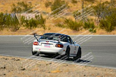media/Oct-05-2024-Extreme Speed (Sat) [[dcd4a721fe]]/High Inter/Session 3 (Bowl)/